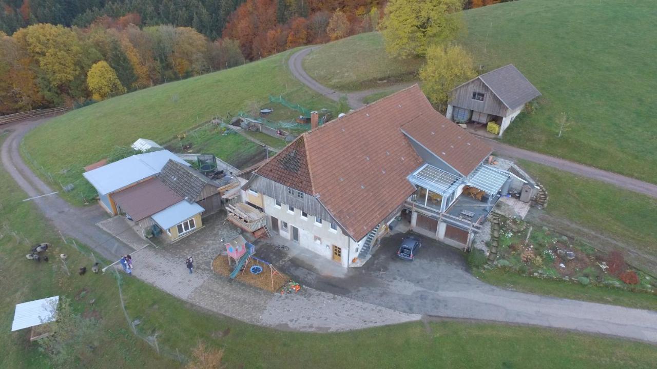 Ferienwohnung Brandenkopf Oberharmersbach Eksteriør billede